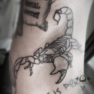 Hamburg Tattoo - Skorpion